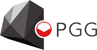 POLSKA GRUPA GÓRNICZA S.A. 